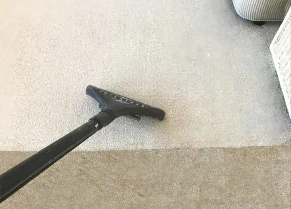 carpet cleaning 10